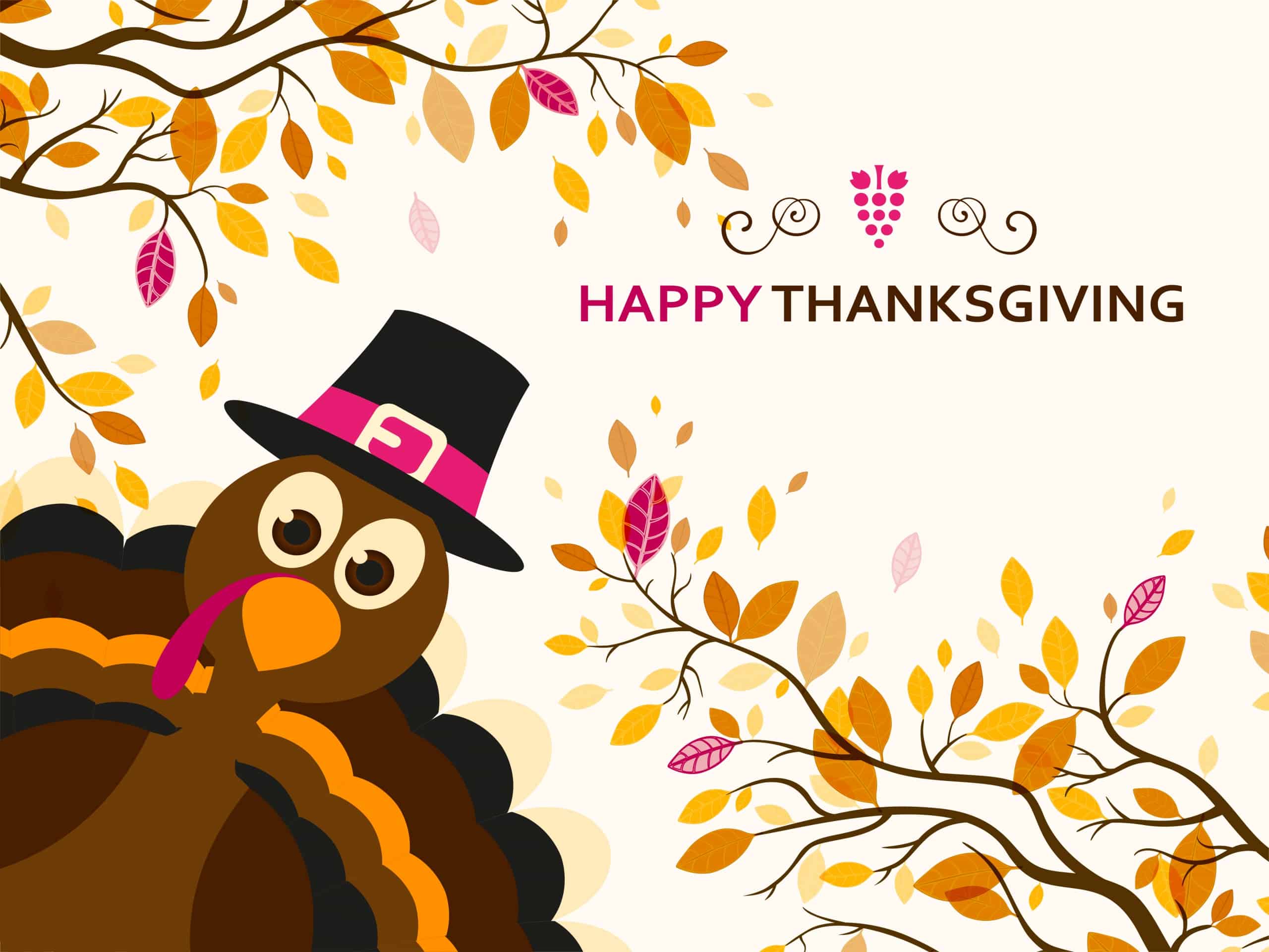 Thanksgiving Weekend Homes with Virtual Tours image